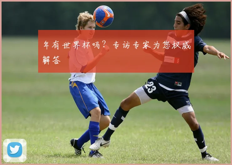 年有世界杯吗?专访专家为您权威解答