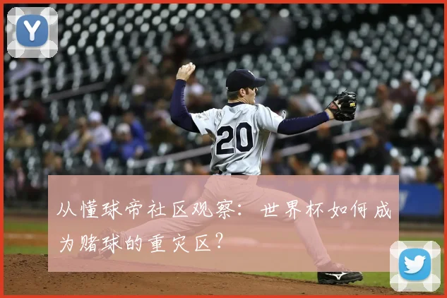 从懂球帝社区观察:世界杯如何成为赌球的重灾区?