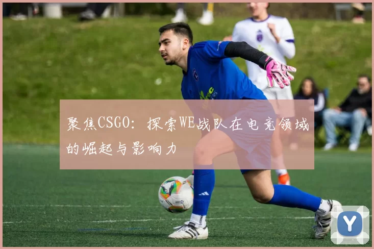 聚焦CSGO：探索WE战队在电竞领域的崛起与影响力