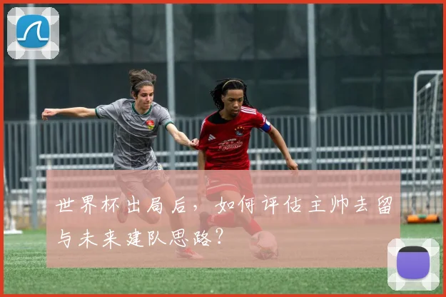 世界杯出局后,如何评估主帅去留与未来建队思路?