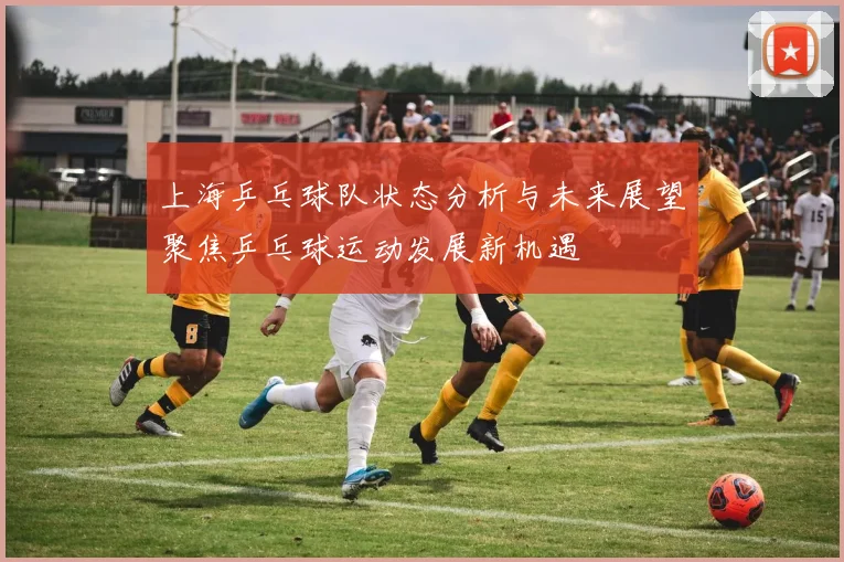 上海乒乓球队状态分析与未来展望聚焦乒乓球运动发展新机遇