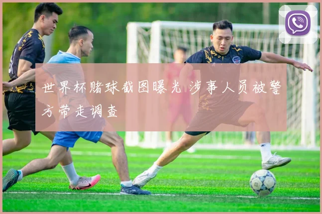 世界杯赌球截图曝光 涉事人员被警方带走调查
