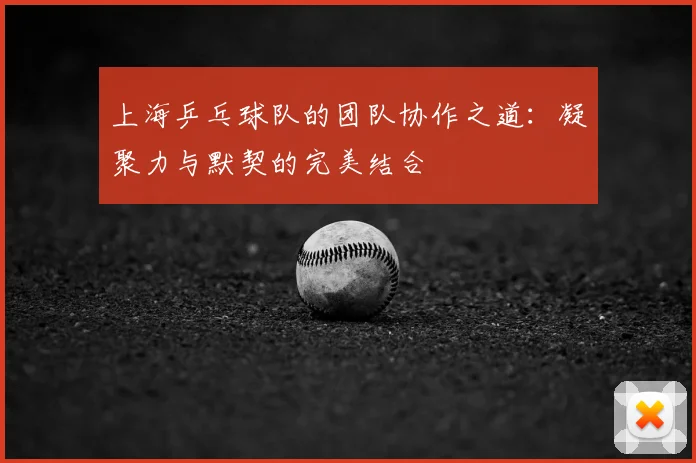 上海乒乓球队的团队协作之道：凝聚力与默契的完美结合