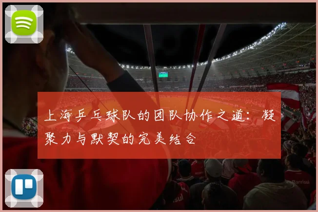 上海乒乓球队的团队协作之道:凝聚力与默契的完美结合