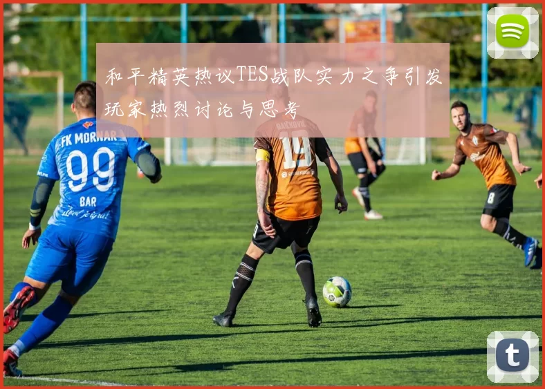 和平精英热议TES战队实力之争引发玩家热烈讨论与思考